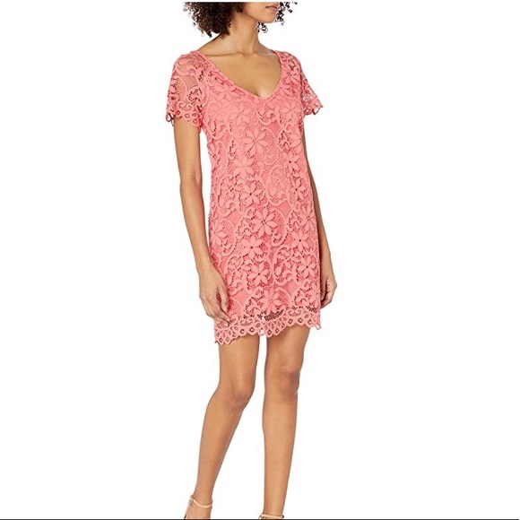 BB Dakota Dresses & Skirts - BB DAKOTA women’s Rene scallop lace shirt dress